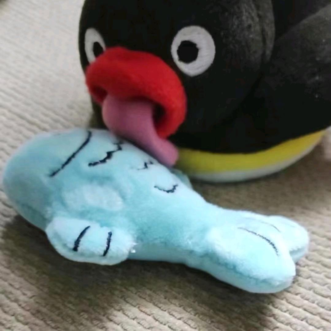 坤小咪的舔舔