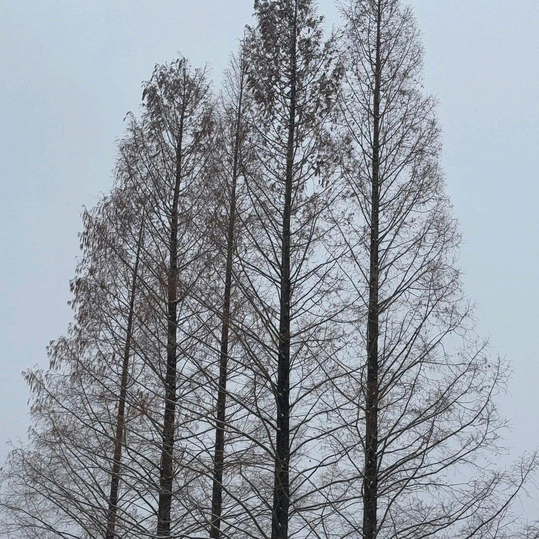 熊熊甄选