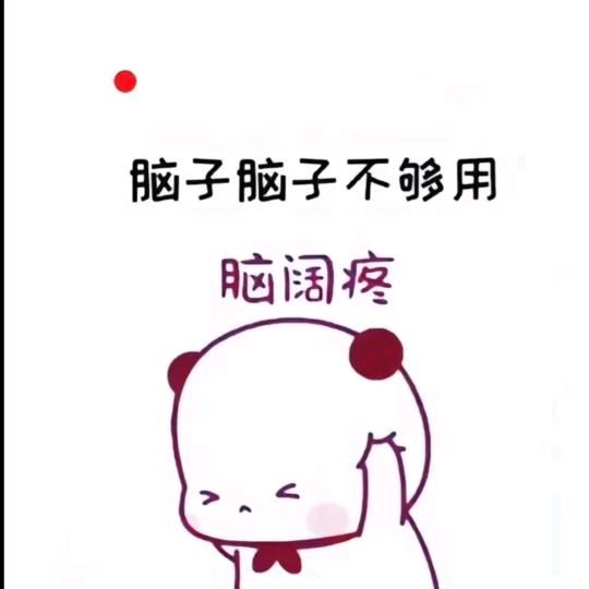 孤独而佛系的硕宝