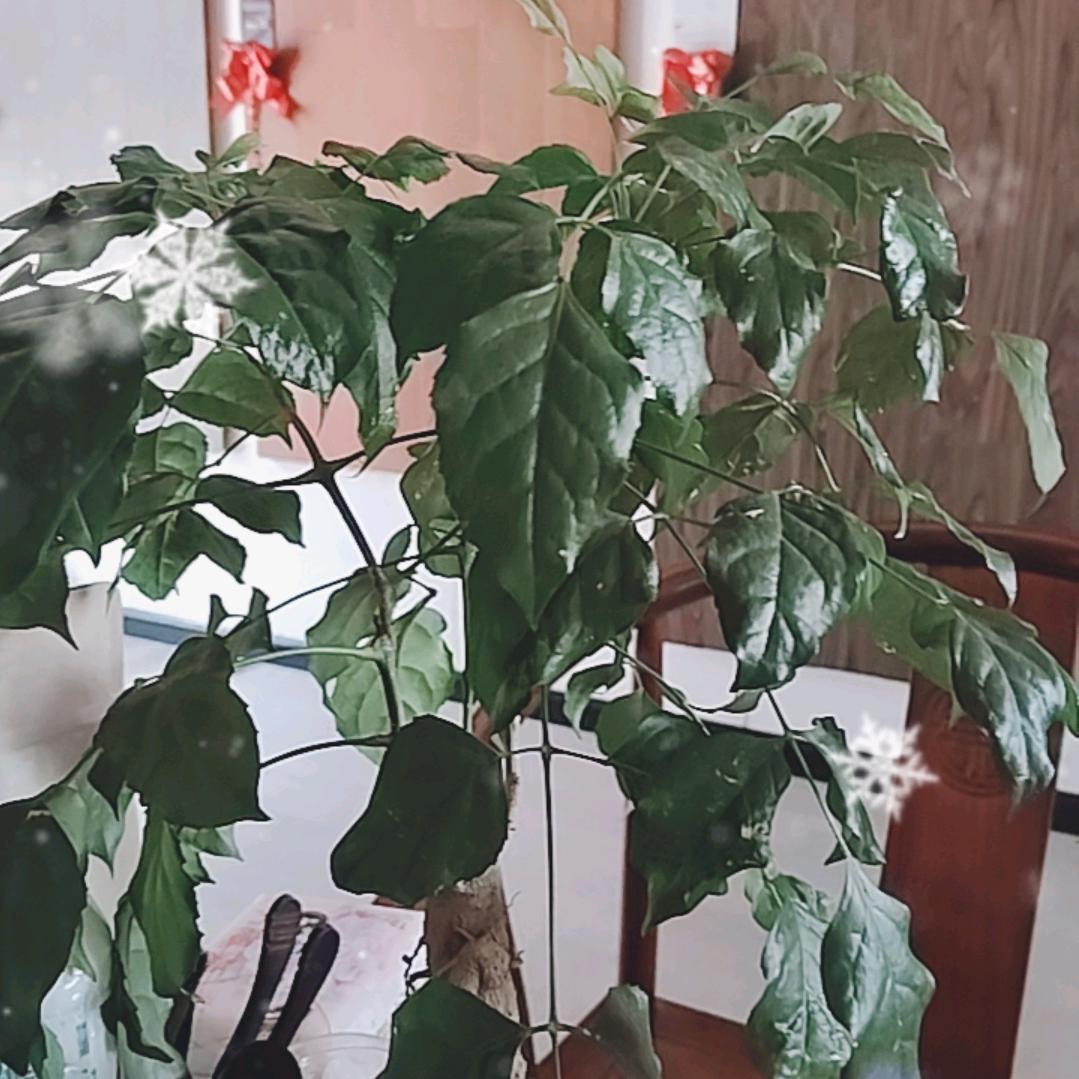 有你就幸福