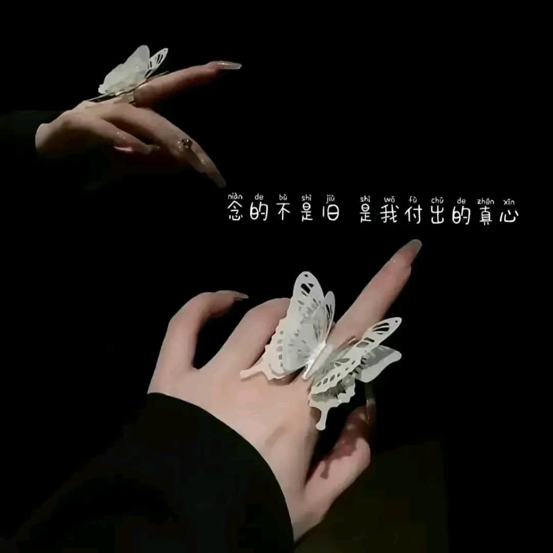 星空✨贵族💕💖