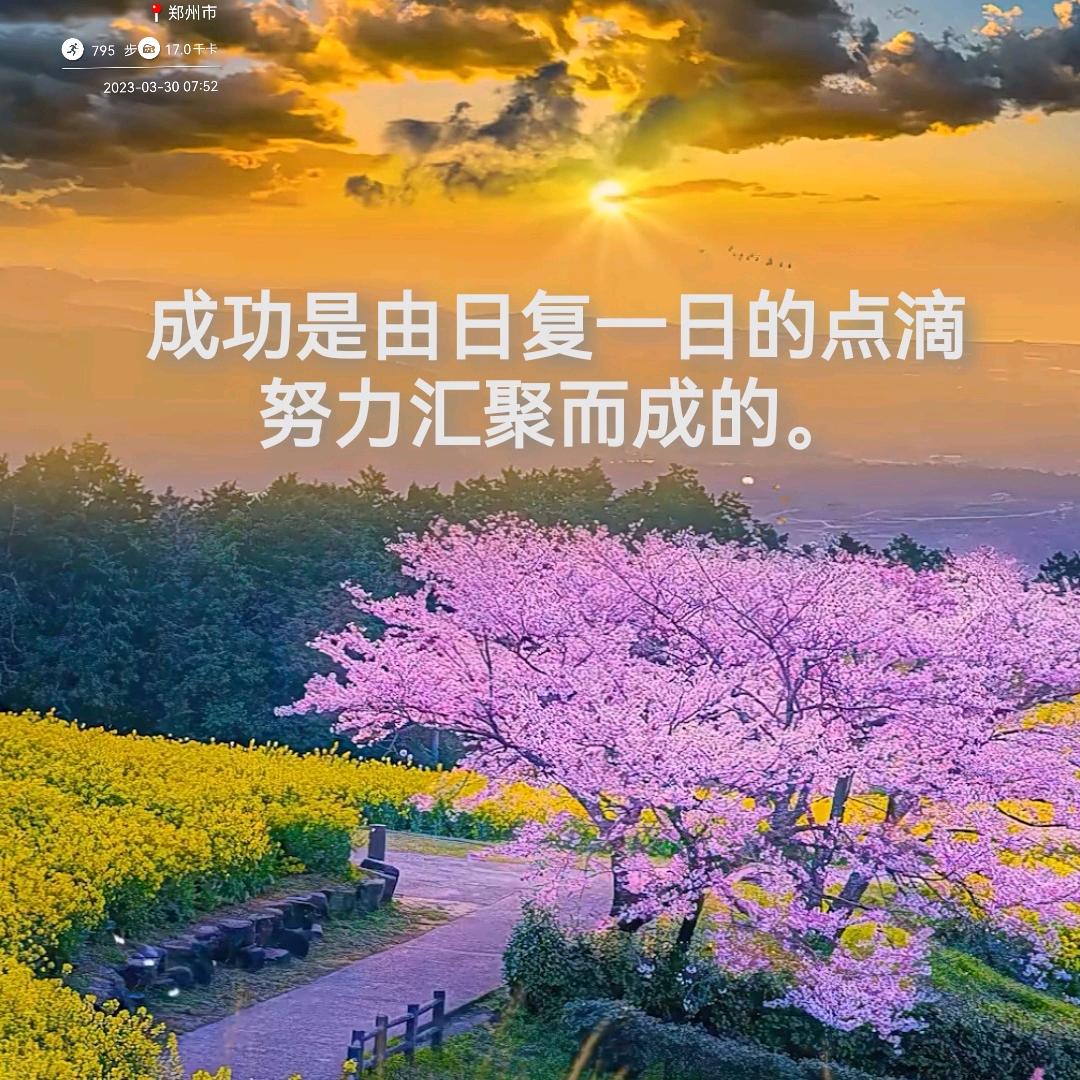 文观天下