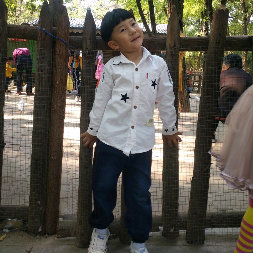 峰哥爱拼才会赢