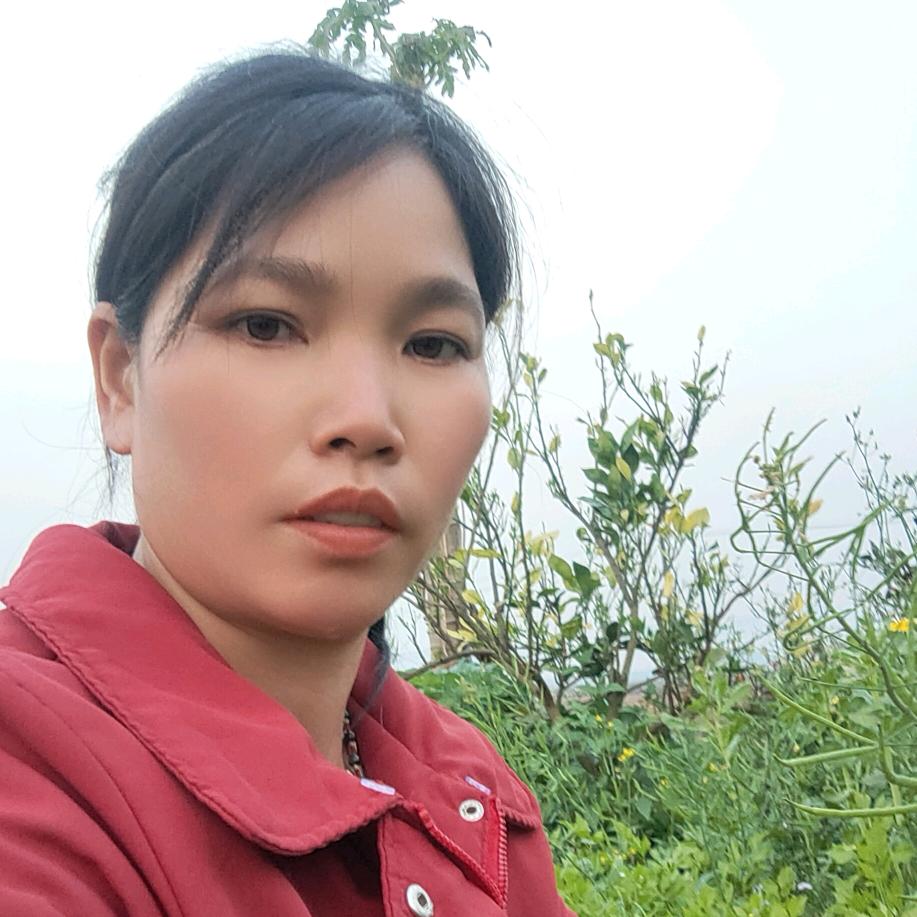 宛伊花姐