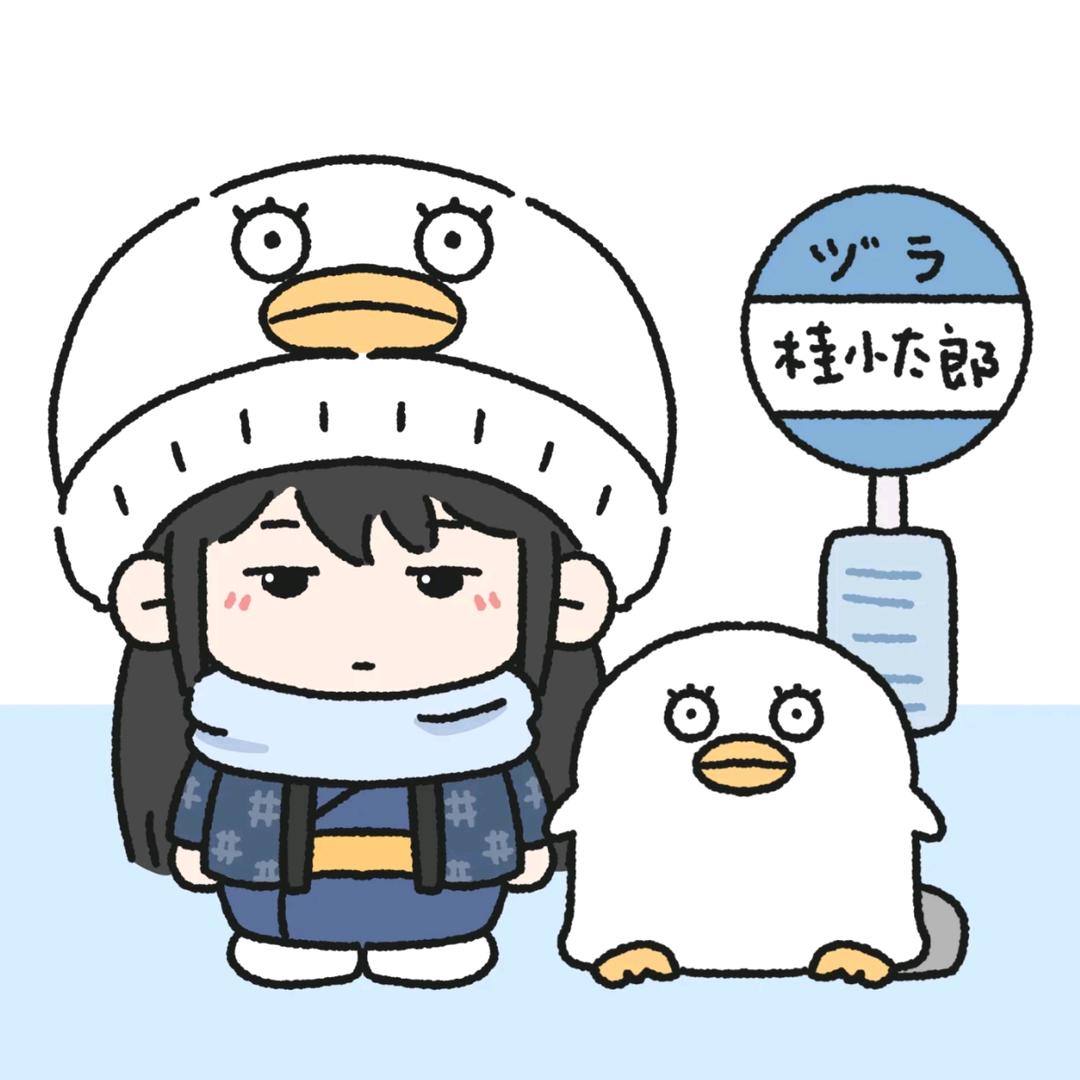 猫咪老师如是说