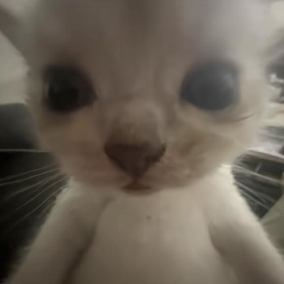 宇宙无敌狗蛋神