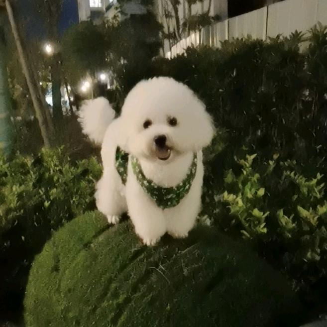 幸运SY