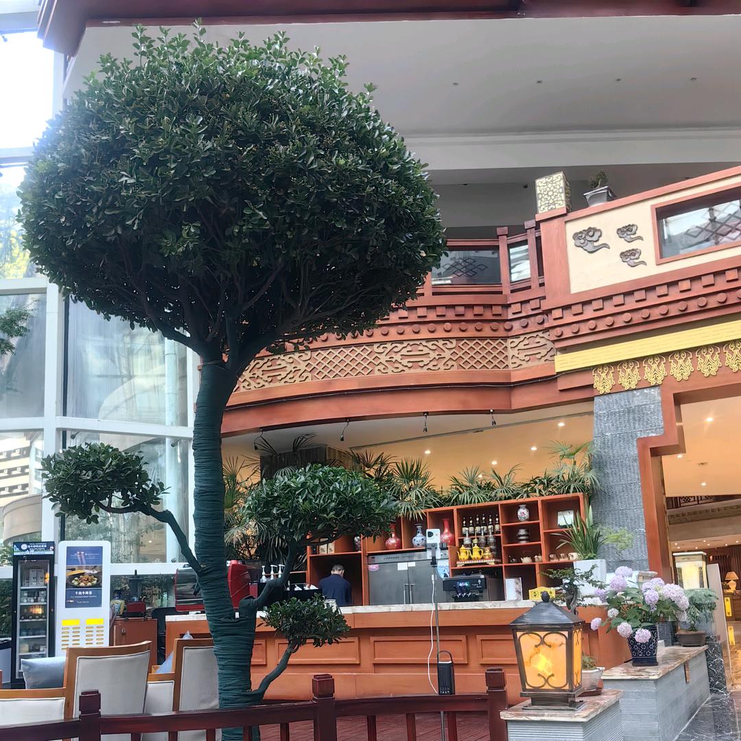 在天之涯