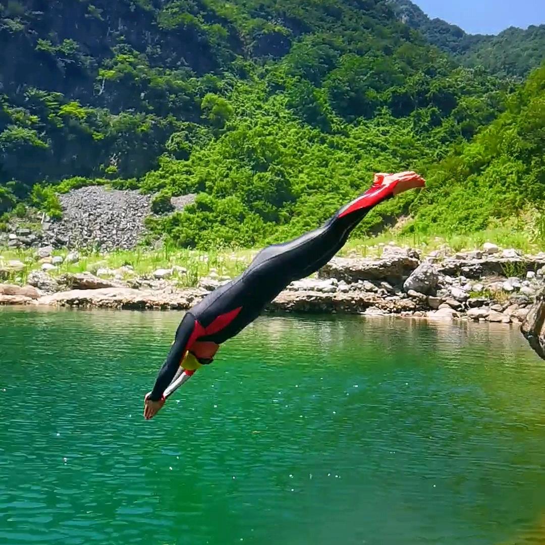 蓝海豚🐬