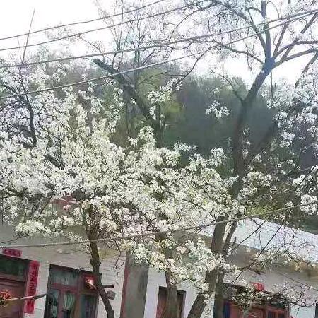 超越梦想（抖音记录生活）