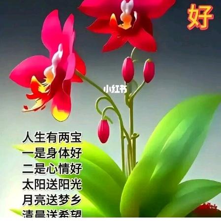 夙缘