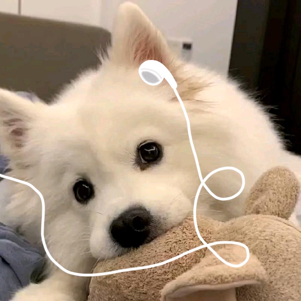 ꒰ঌ头像