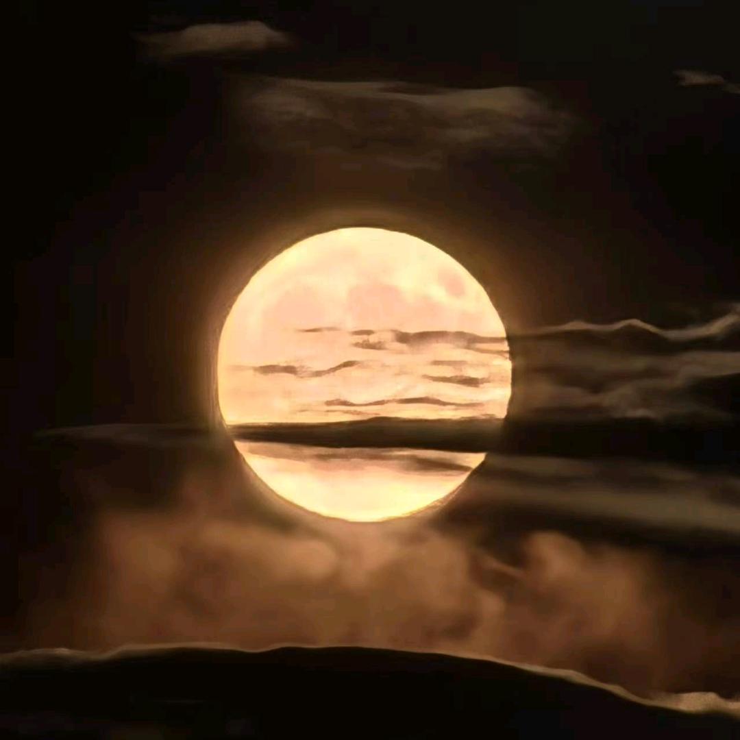 烟雨阁楼醉凡尘