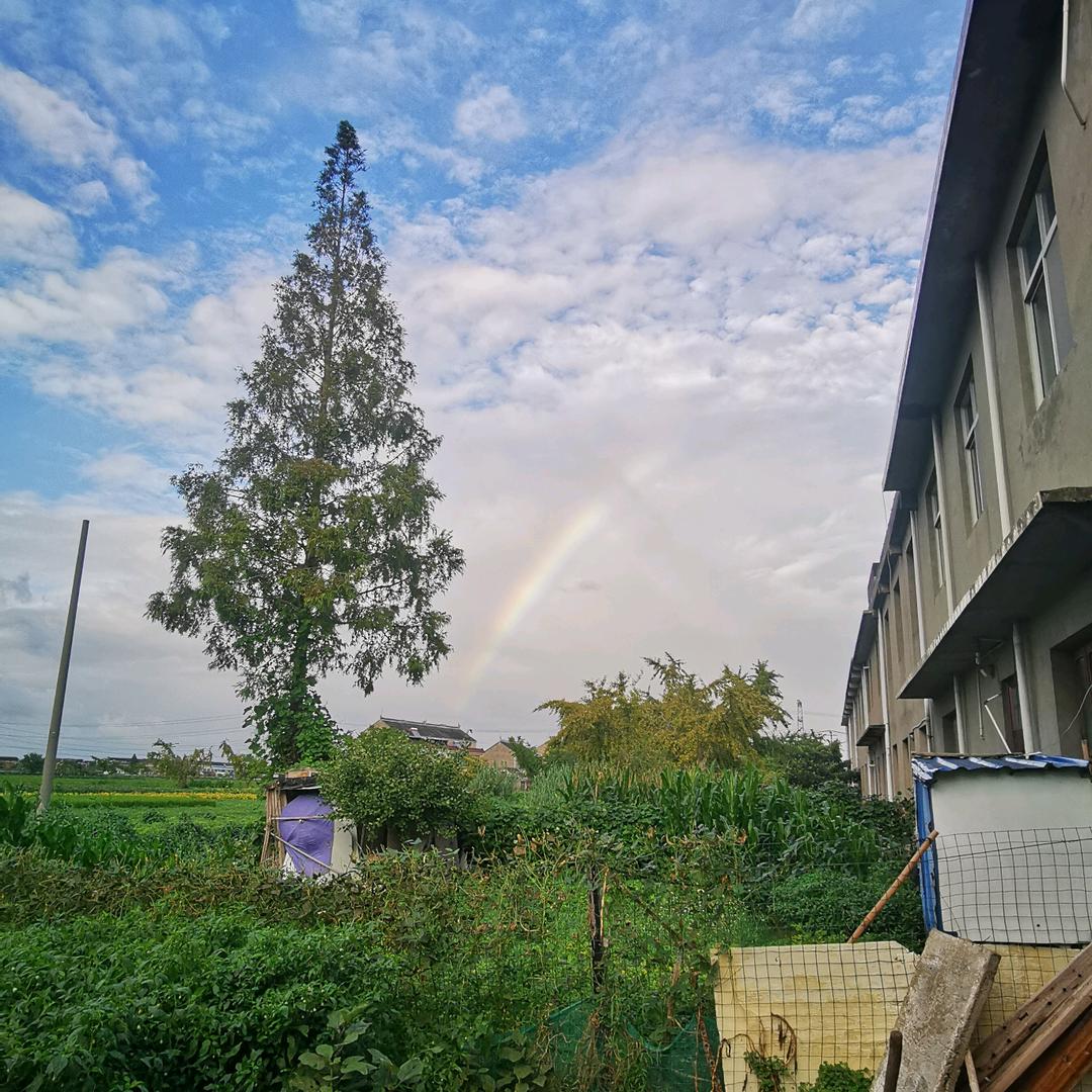 🌈 🌈🌈🌈🌈🌈D