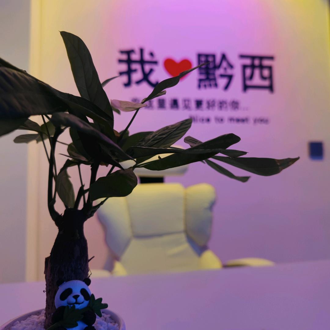 拾光·桌游·宠粉号