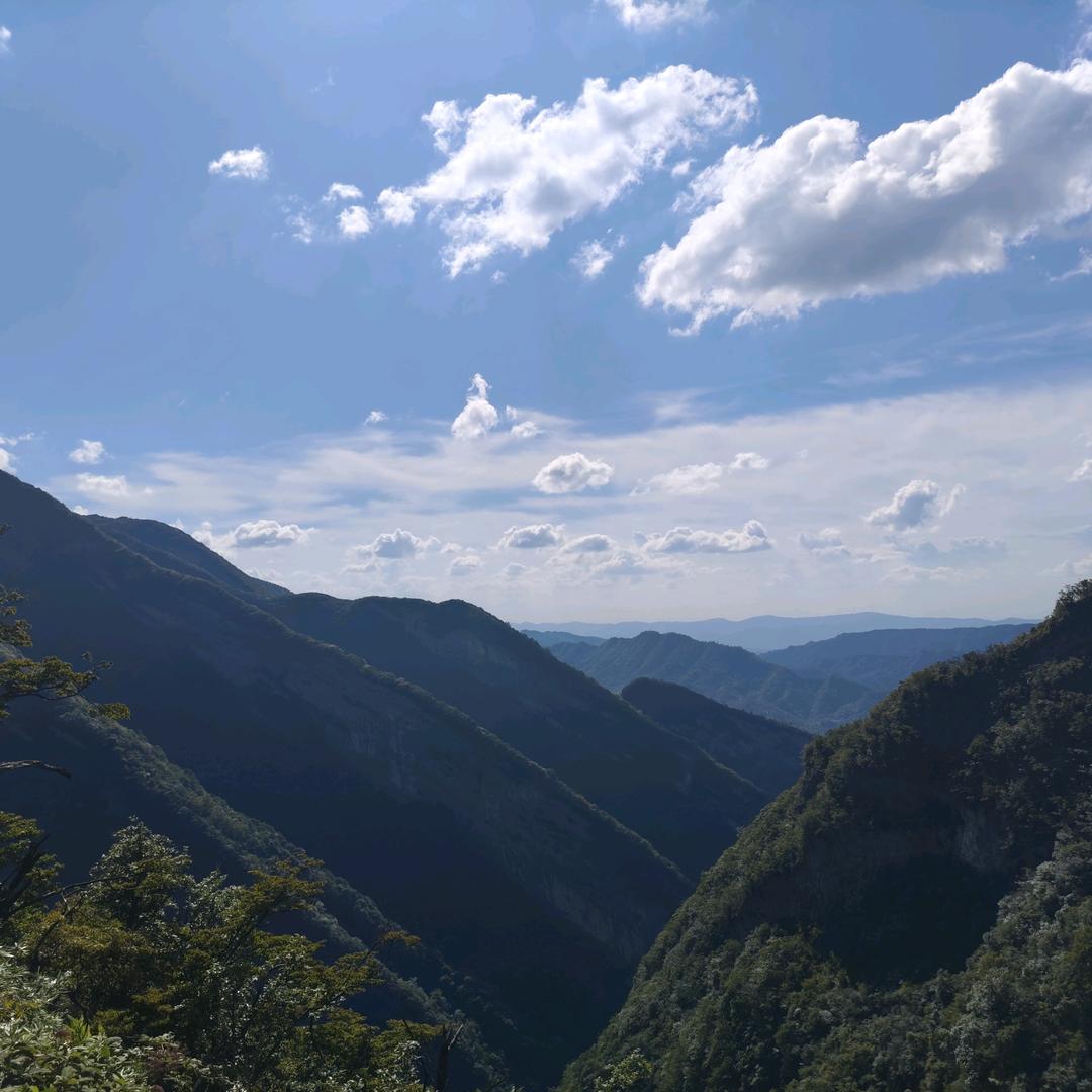 深蓝。