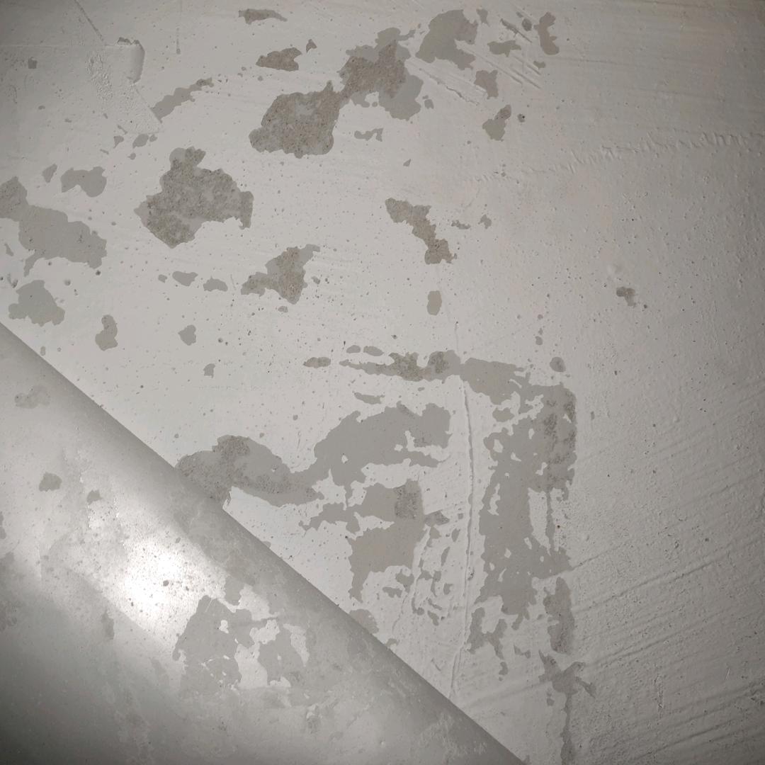 三金宝