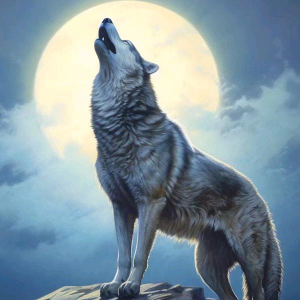 面带微笑😊出于礼貌