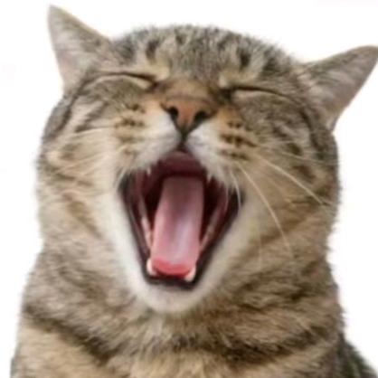 ෆ「喜樂」🐾੭ﾞ