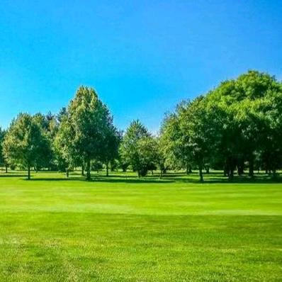黎明暑光