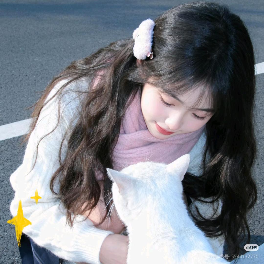 小李小李不讲道理🍓