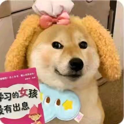 晴緒⁹⁷🫧