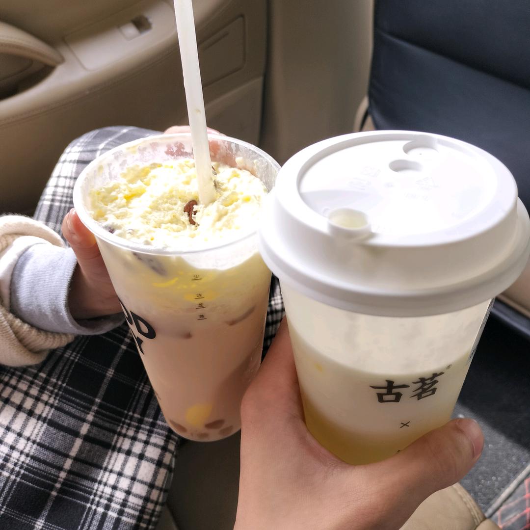 🐷毛家姐姐🐴