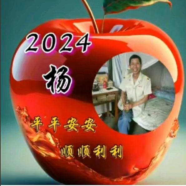 杨中震