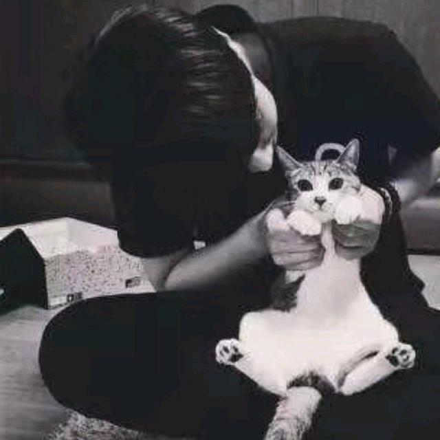 公子林