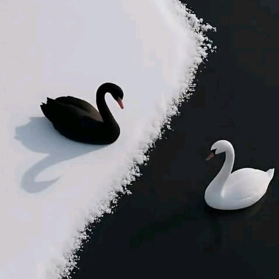 七七头像