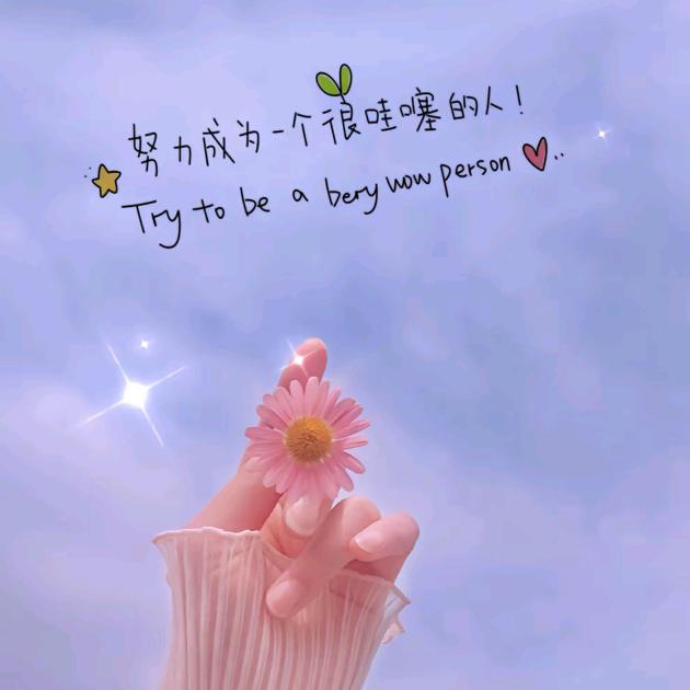 小杨姐