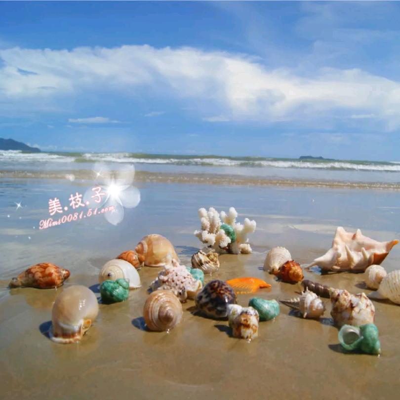 阳光总在风雨后☜