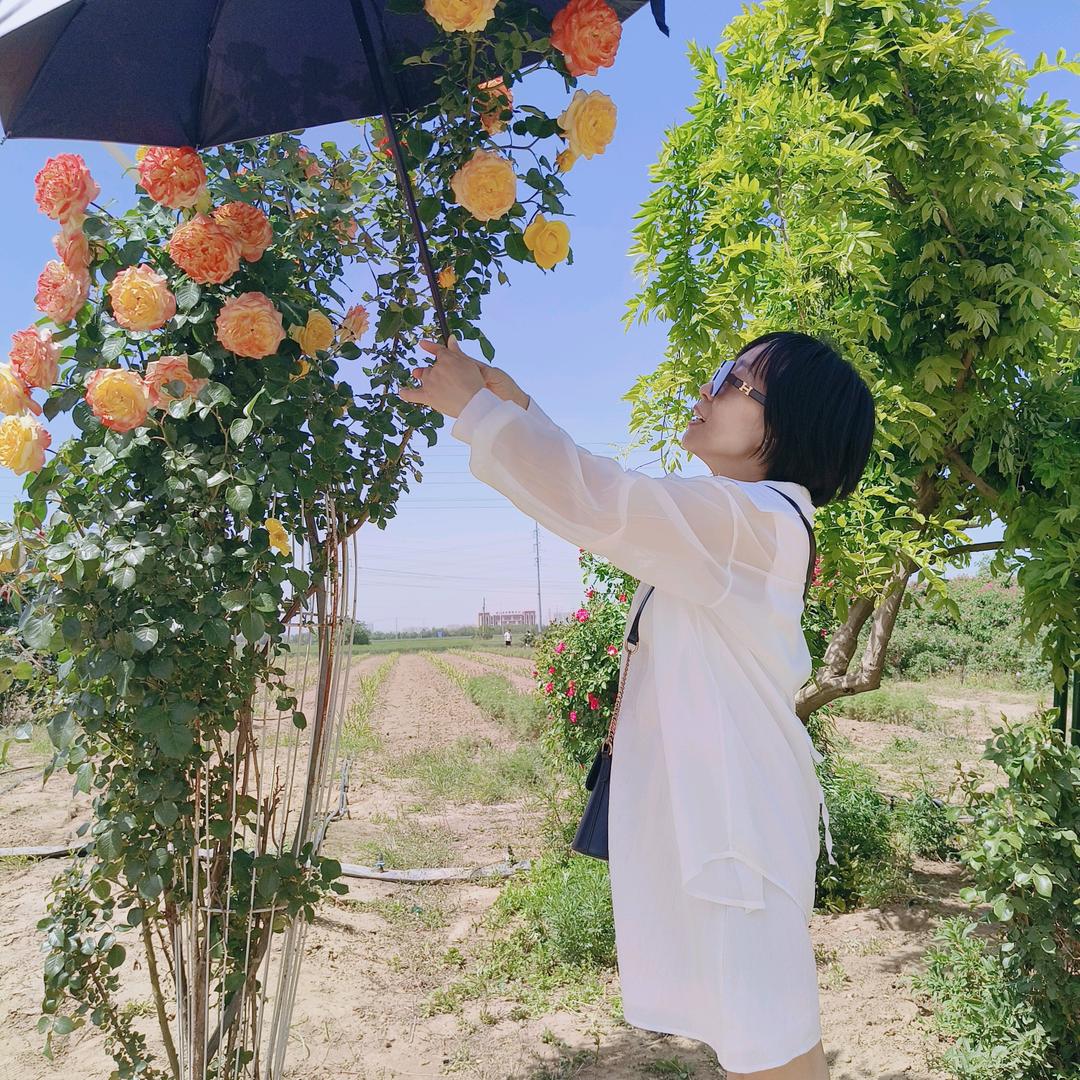 高姐教直播带货