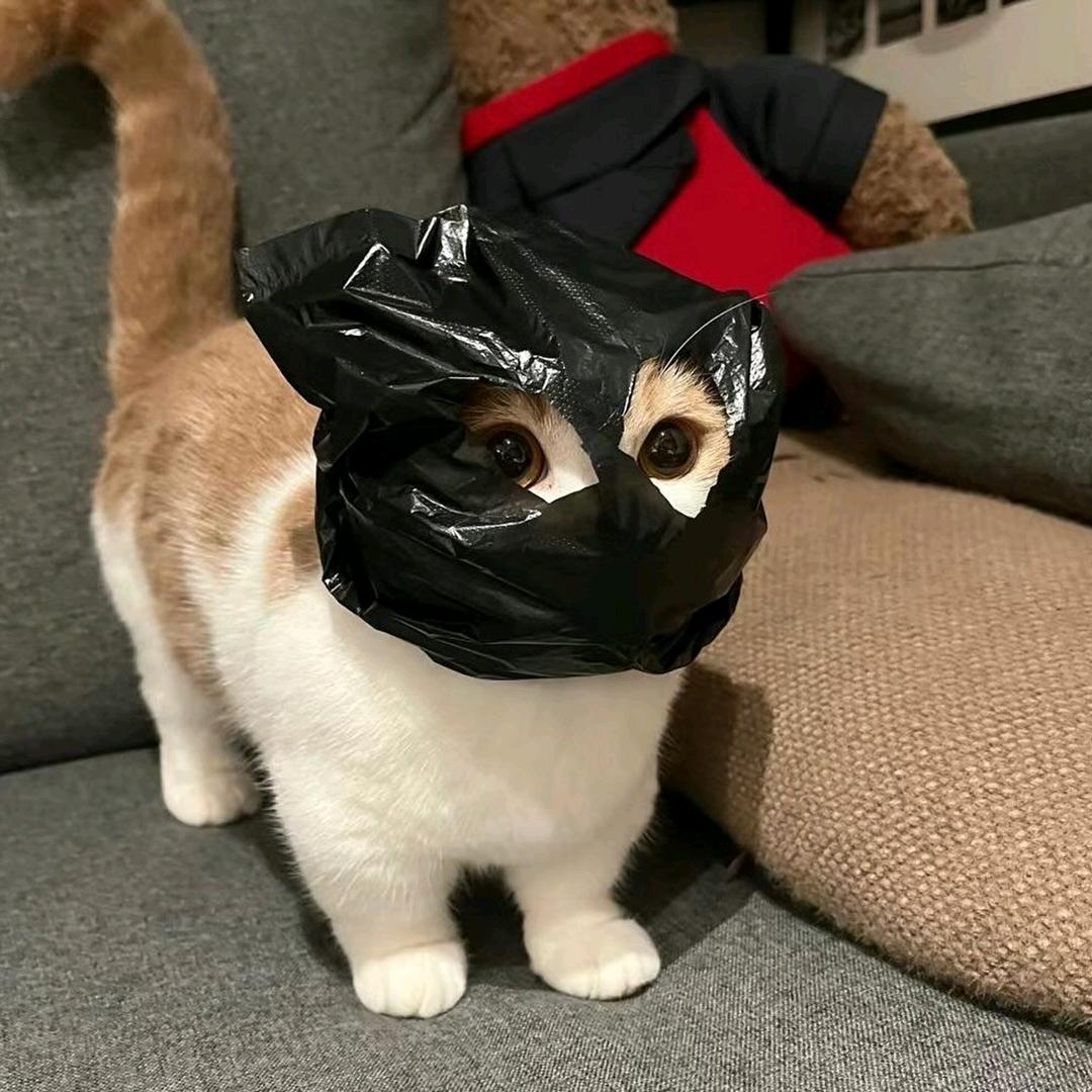 夹心代
