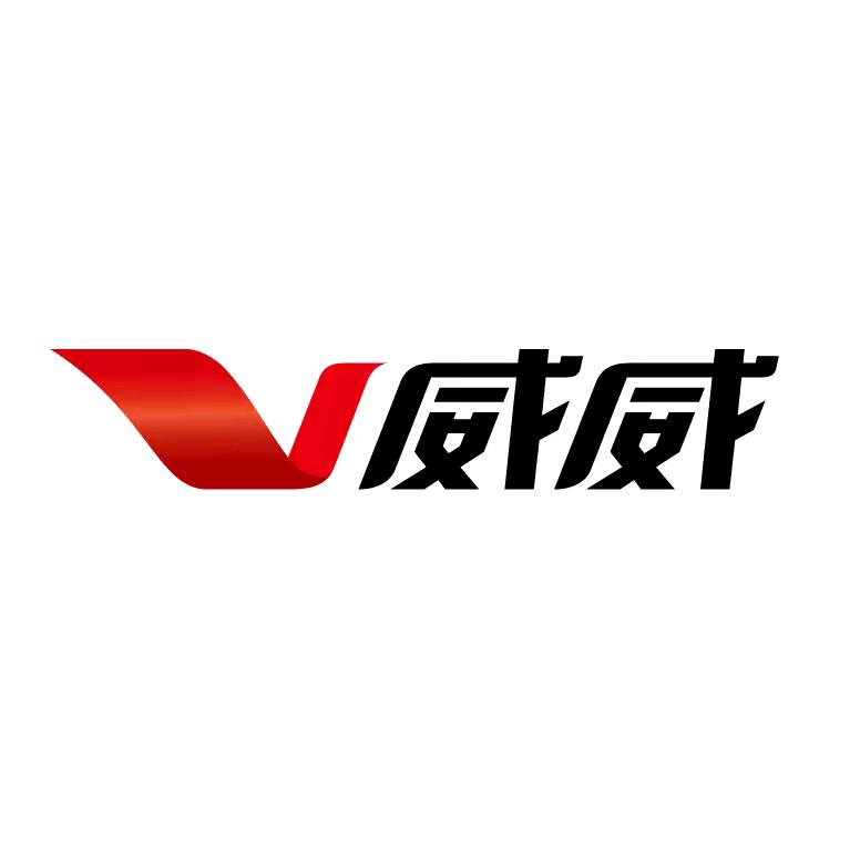 威威汽车模压防水脚垫