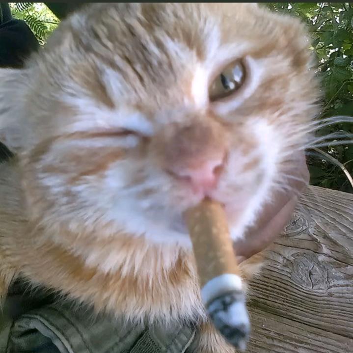 孤独的根号三