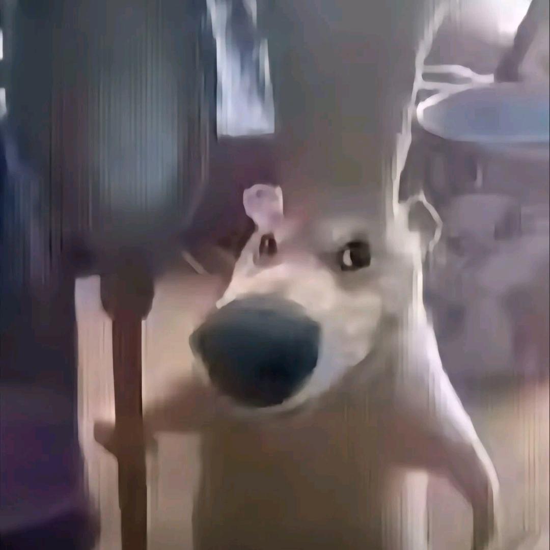 意然