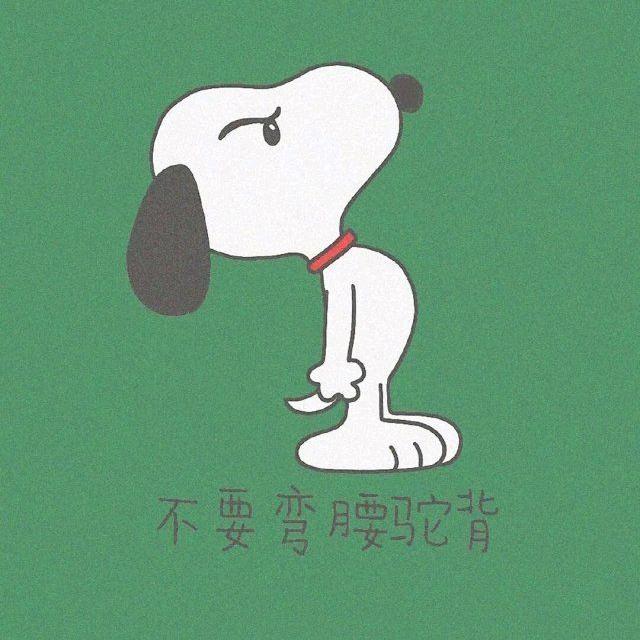 浅白衣领