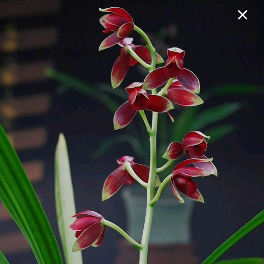 漂浮