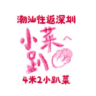 潮汕往返深圳4米2小趴菜
