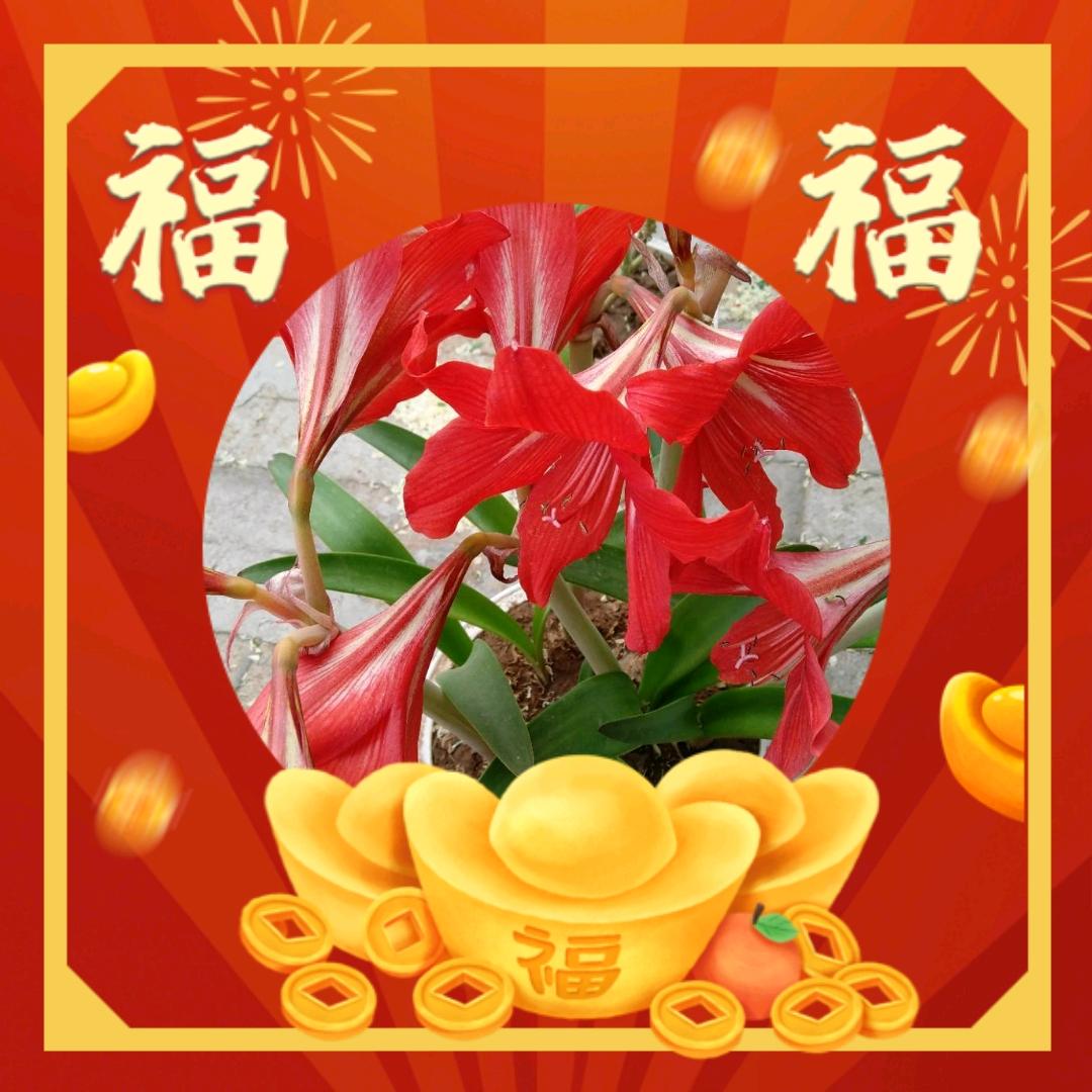 喜乐