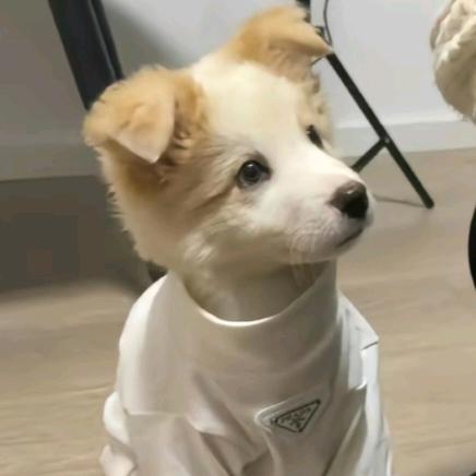 小言