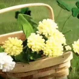 离心