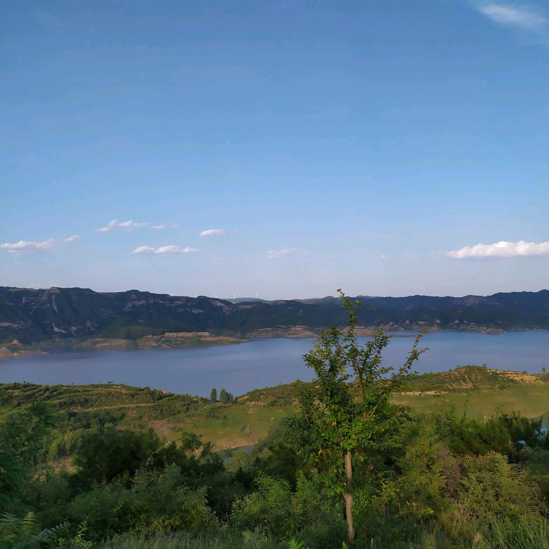 龙年头像