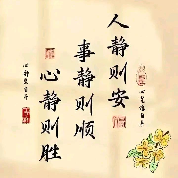 小马哥