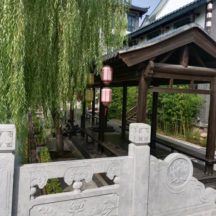小青年