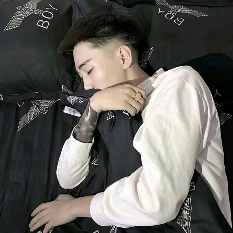 子龙