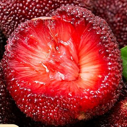 农裕良景果蔬旗舰店