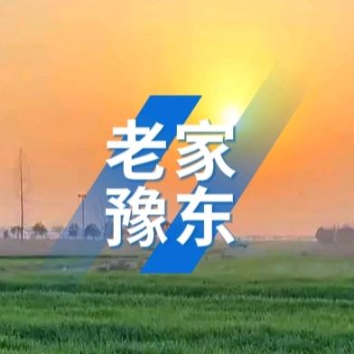 老家豫东