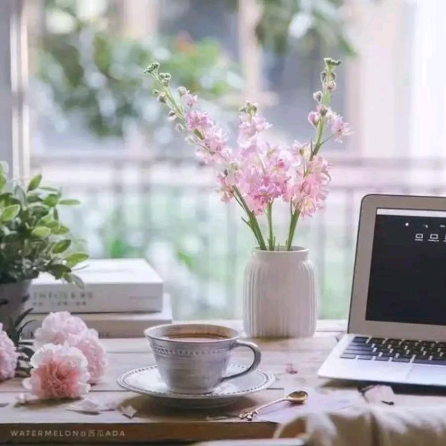 集韵🌿